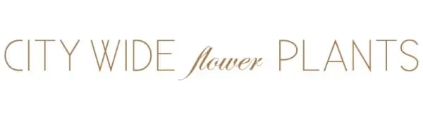 Citywide Flower Plants